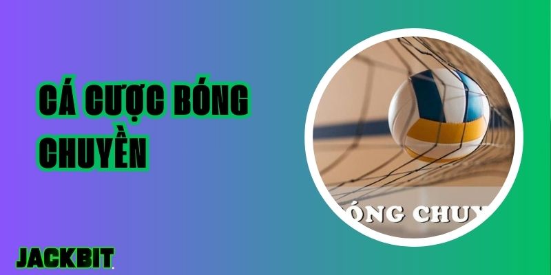 Cá Cược Bóng Chuyền Và Các Loại Kèo Phổ Biến Bạn Nên Biết 1 Cá Cược Bóng Chuyền